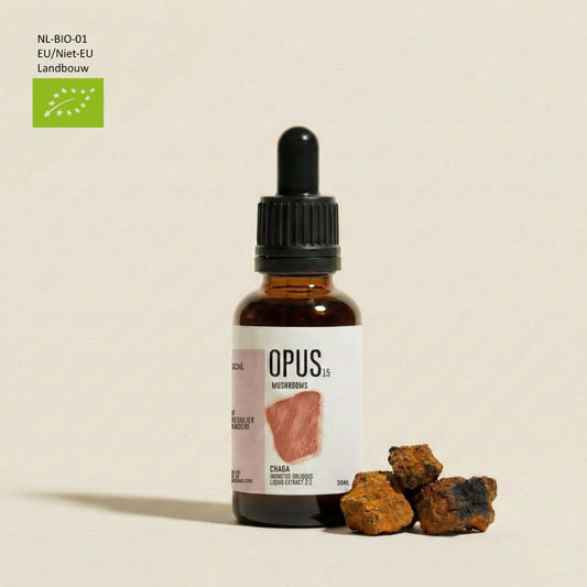 BIO CHAGA (Organic)