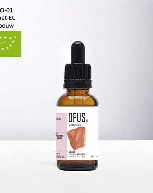 BIO CHAGA (Organic)