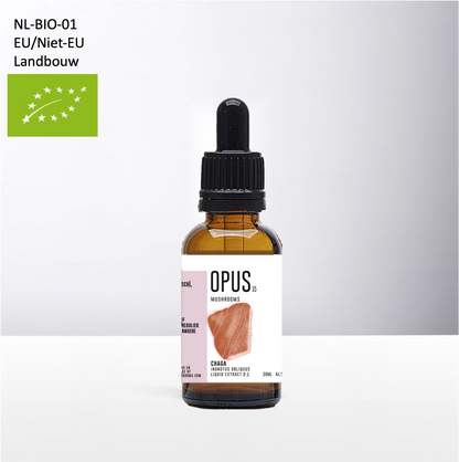 BIO CHAGA (Organic)