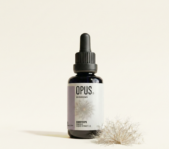 CORDYCEPS Sinensis