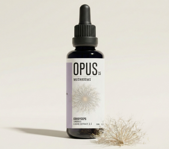 CORDYCEPS Sinensis
