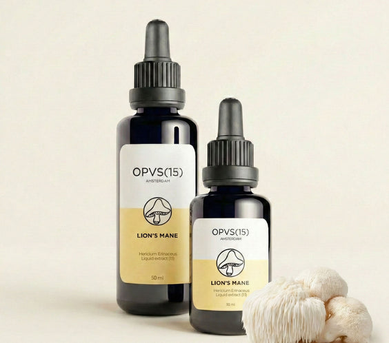 CRINIÈRE DE LION (Ancien stock)