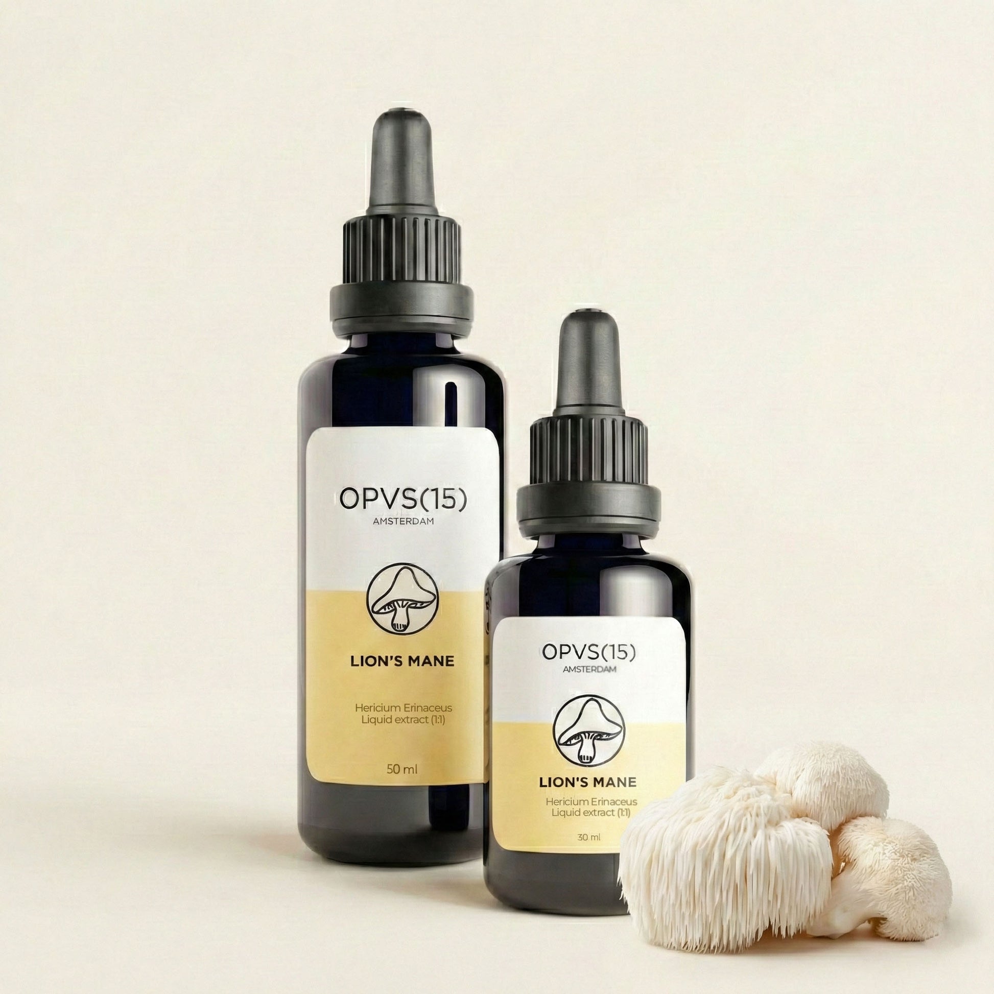 CRINIÈRE DE LION (Ancien stock)