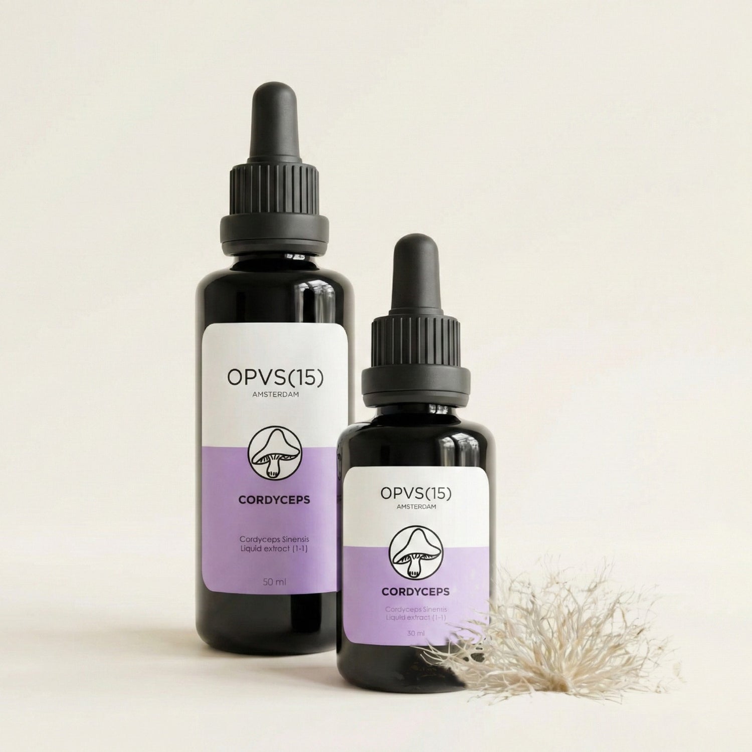 CORDYCEPS sinensis (Oude voorraad)