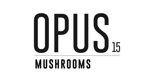 Opus Mushrooms
