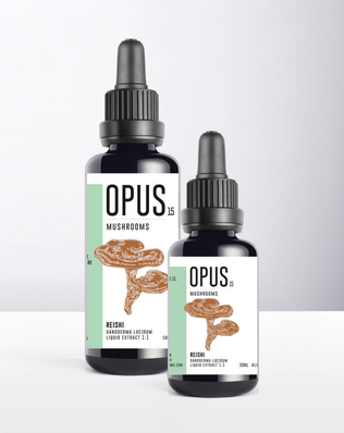 REISHI 