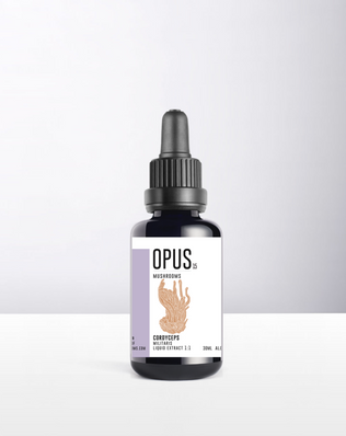 CORDYCEPS Militaris 