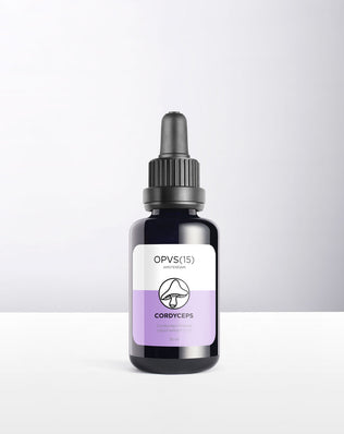 CORDYCEPS sinensis (Oude voorraad)