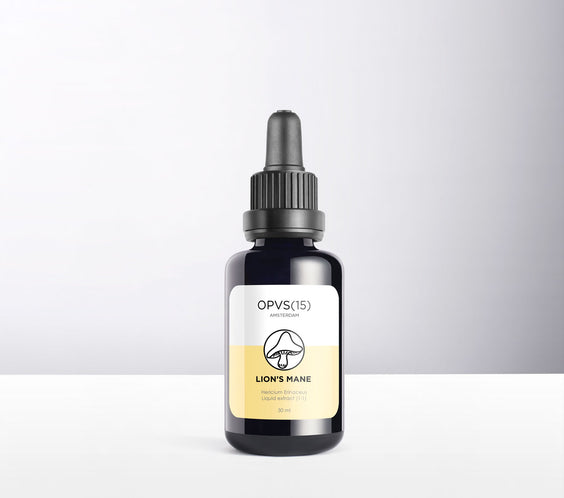 CRINIÈRE DE LION (Ancien stock)