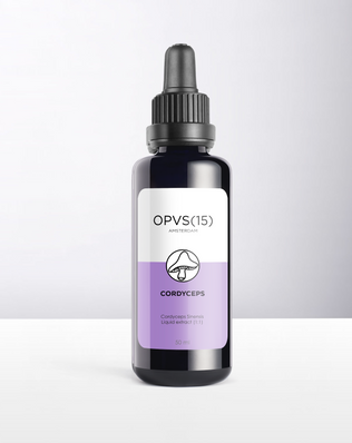 CORDYCEPS sinensis (Oude voorraad)